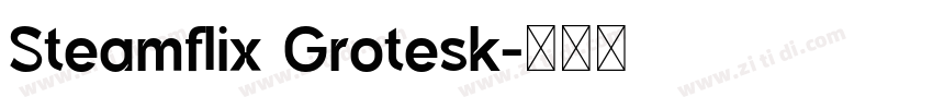 Steamflix Grotesk字体转换